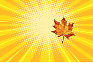 fall leaf illustration